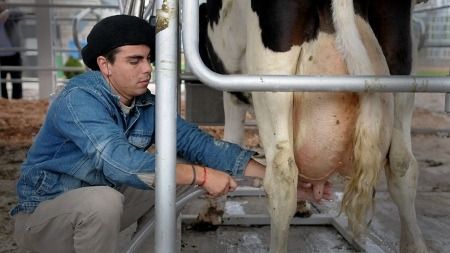 "Nos estamos fundiendo, las vacas  con mucha genética van a ir a frigorífico para que las coman los chinos”