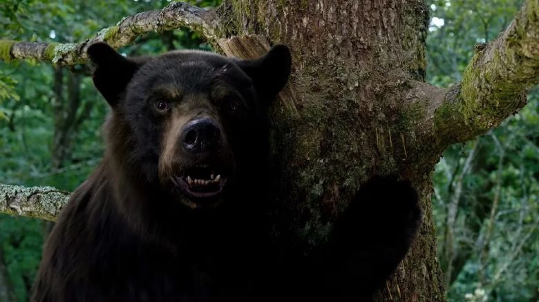 Llega a HBO Max la insólita historia real de un oso asesino adicto a la cocaína