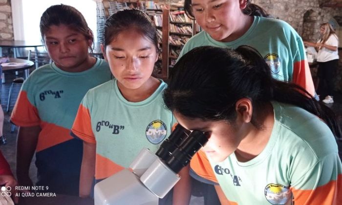 Investigadores y estudiantes utilizan insectos para monitorear el agua