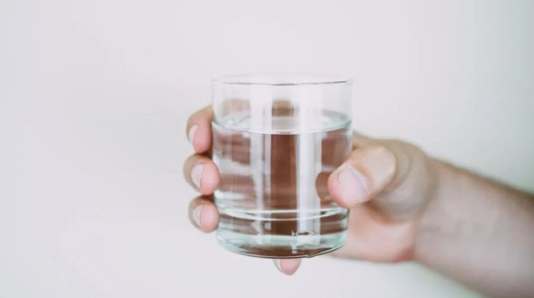 Cuáles son las dos bebidas tan sanas como el agua, según un estudio de Harvard 