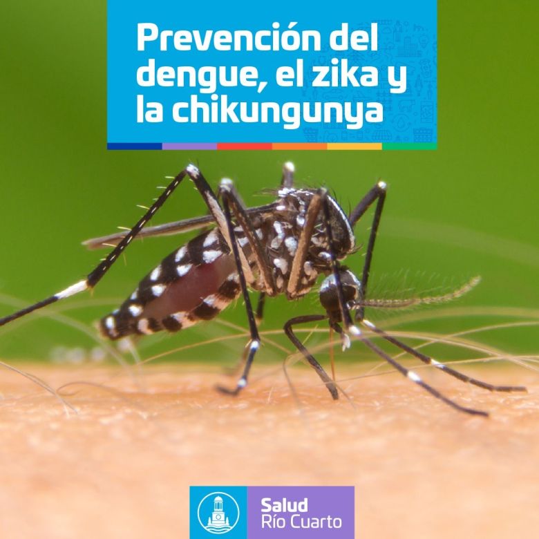 Profundizan las acciones de prevención contra el  dengue