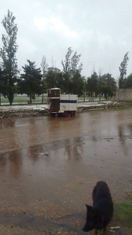La tormenta de lluvia y viento provocó importantes daños en el sur de la provincia