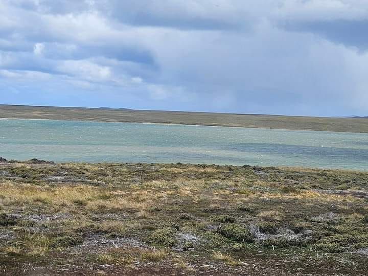 Desde las Islas Malvinas, Pablo Wehbe y su vivencia con la realidad local