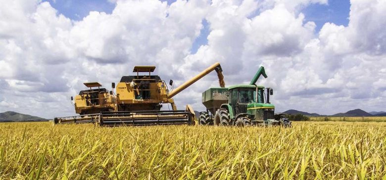 La reducción de la cosecha prevista en Brasil beneficiaría al campo argentino