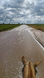 “Todos somos culpables”: un productor le pide a sus pares sistematizar los campos para evitar inundaciones