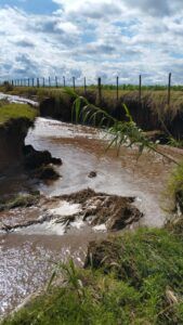 “Todos somos culpables”: un productor le pide a sus pares sistematizar los campos para evitar inundaciones