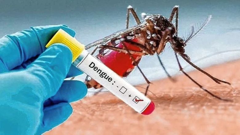 Dengue: Salud confirmó en la última semana 4.736 nuevos casos