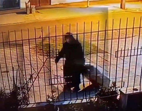 Pacto de horror: el video de una monja trasladando el cuerpo de su amiga dentro de una valija