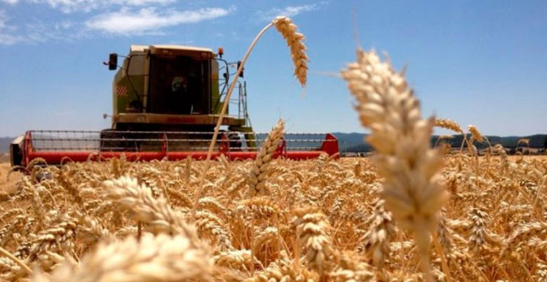 El trigo contra las cuerdas: CRA solicitó la eliminación de las retenciones para el trigo de manera urgente